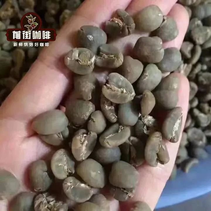 咖啡師養(yǎng)成記 | 印度尼西亞咖啡的品種大全 曼特寧咖啡是什么咖啡品種？