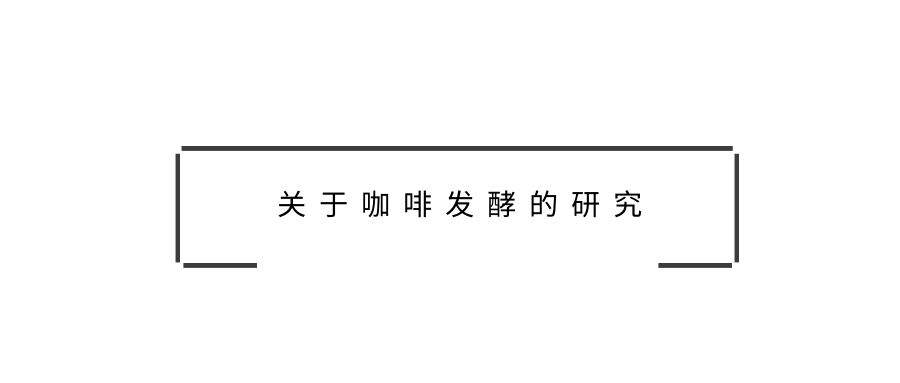 關(guān)于咖啡發(fā)酵的研究，不是太多而是太少