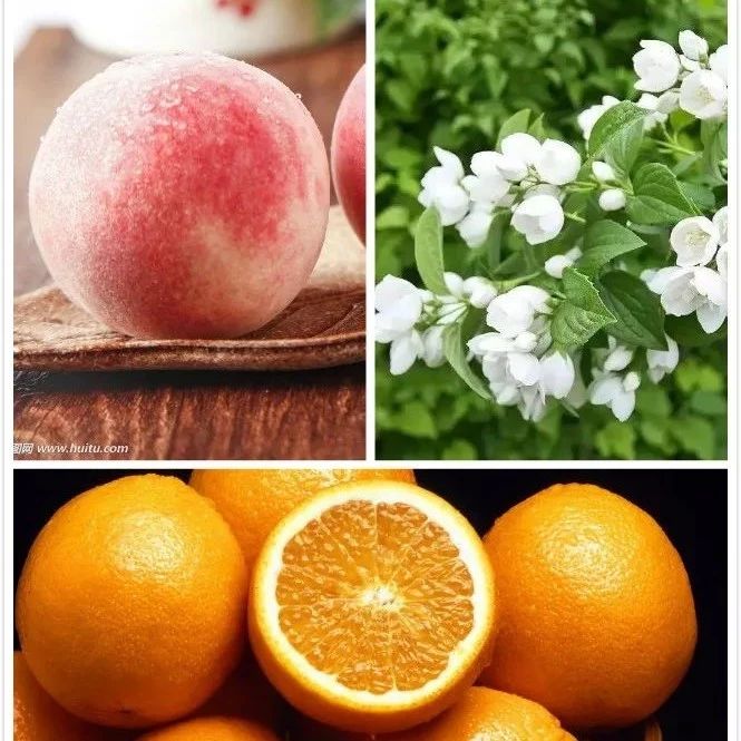 味覺練習(xí) |  如何對應(yīng)聞香瓶辨識單品豆的風(fēng)味