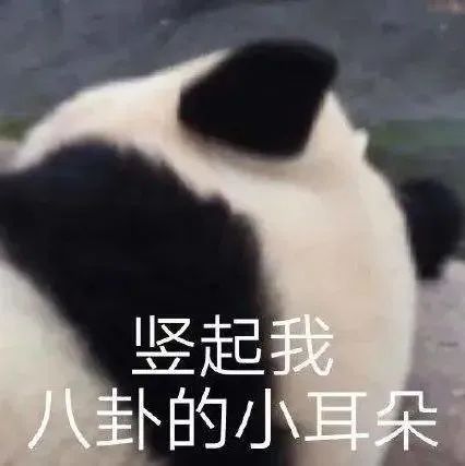 “?能讓你回頭的咖啡館，都有哪些吸引你的地方？”