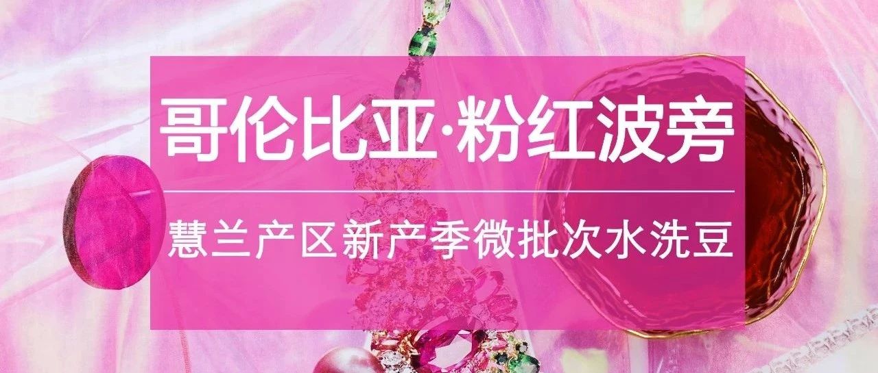 粉色控愛喝什么咖啡？這只別錯過，第包半價只在今天！