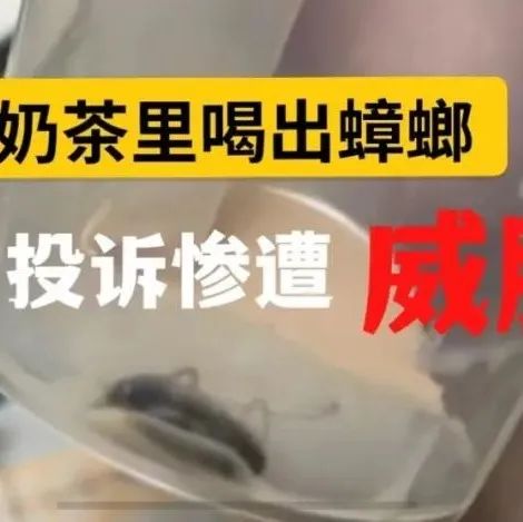 冒牌COCO奶茶喝出蟑螂！店家回應(yīng)“塊給你做棺材本”？