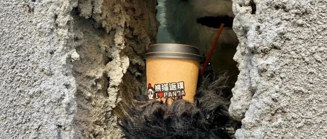 西安也來了一家同款“熊爪咖啡”館！