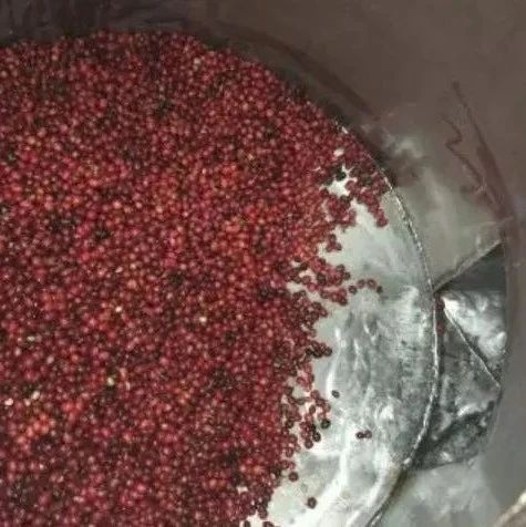 紅酒處理法是用紅酒浸泡嗎？—— 哈特曼莊園紅酒處理法咖啡豆