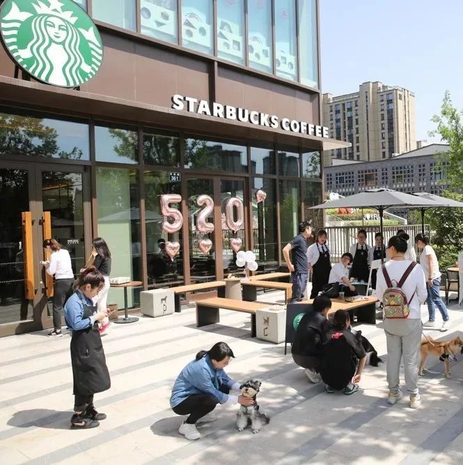 星巴克打造的寵物友好店到底是什么？