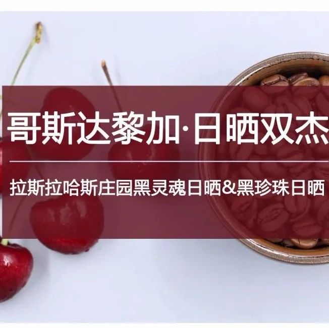 哥斯達(dá)黎加好豆 .折購(gòu)，速度入手！