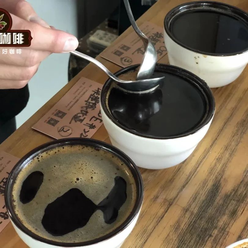 咖啡師養(yǎng)成記 | 杯測的啜吸教學(xué)