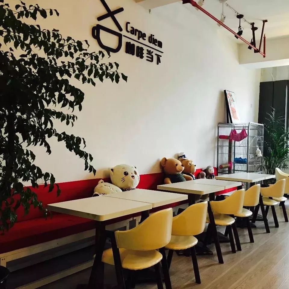 活在當(dāng)下，及時(shí)行樂(lè) | 貴陽(yáng)·粉絲基地NO.  -咖啡當(dāng)下
