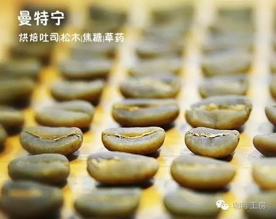 咖啡工房大詞典【曼特寧】精品咖啡豆