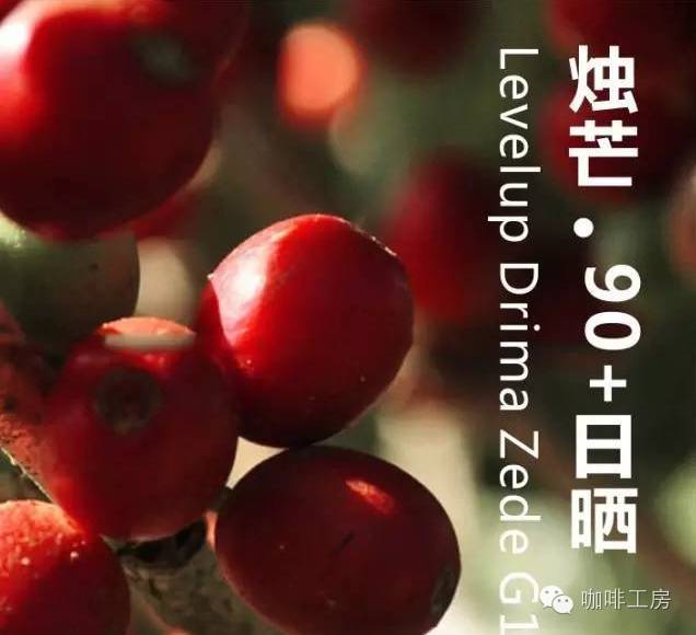 咖啡工房大詞典【九十+燭芒】精品咖啡豆