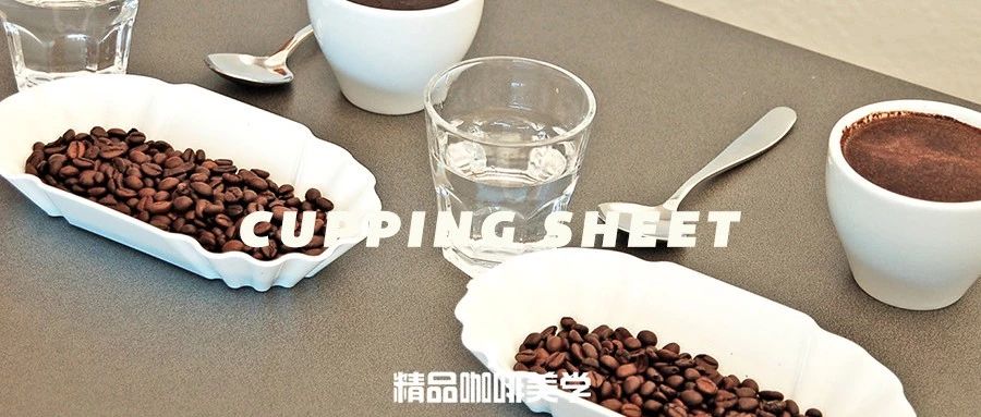 SCA杯測表太高深？不妨試一下這個簡單的入門杯測表格