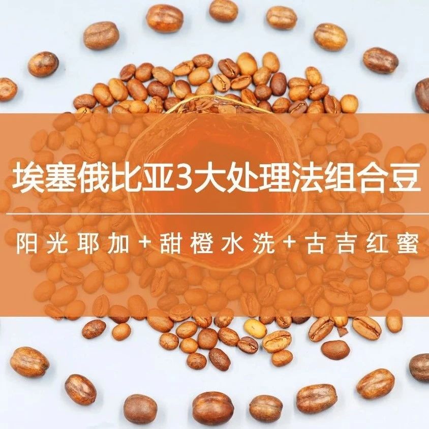 特價組合 | 埃塞俄比亞三大處理法好豆，可省  元！