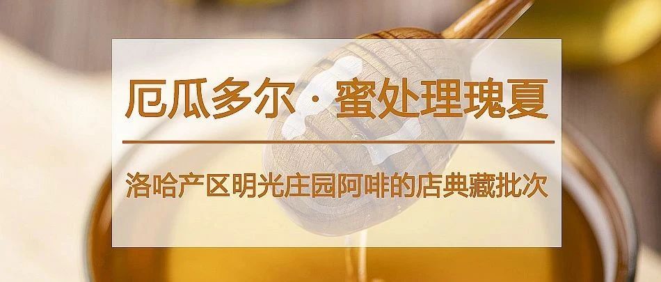 獲獎(jiǎng)莊園極品瑰夏  元購，手慢就被別人帶走了~