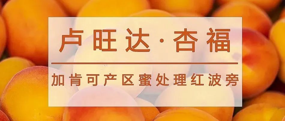盧旺達(dá)新豆  元秒殺，咖啡控速度入手!