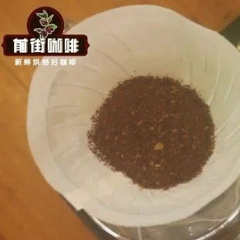 前街咖啡沖煮方案 | 莫扎特沖煮方案
