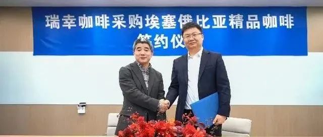 瑞幸簽署了超級大單！瑞幸或將成為國內最大的花魁咖啡豆買家？！