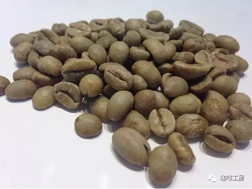 【咖啡常識】咖啡生豆處理法，什么是日曬、水洗、蜜處理？