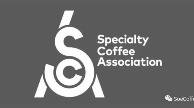 坐標廣州｜SCA Barista 咖啡師初、中級認證課程