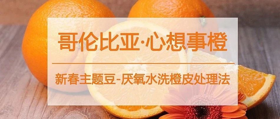 新春主題咖啡火了！祝您闔家幸福，心想事橙 :)
