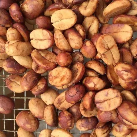 【咖啡小知識(shí)】生豆的發(fā)酵處理如何影響咖啡風(fēng)味?
