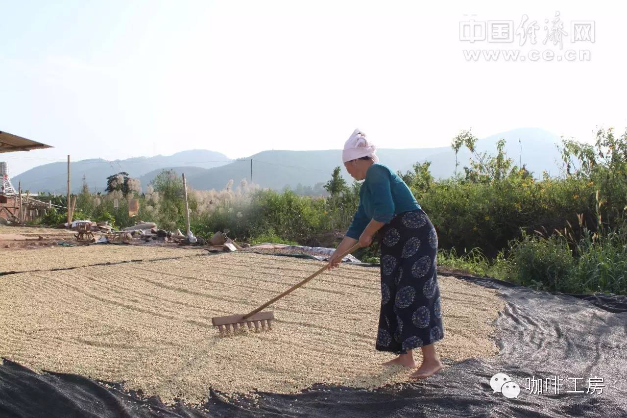 關(guān)于埃塞俄比亞咖啡 這些你未必知道