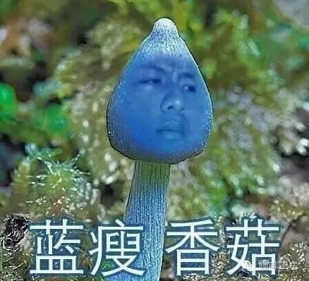 恐怖！這樣吃下星巴克套餐    卡路里.....藍(lán)瘦，香菇！