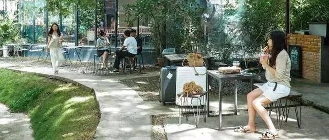 開在森林里的咖啡館，美女最愛逛！
