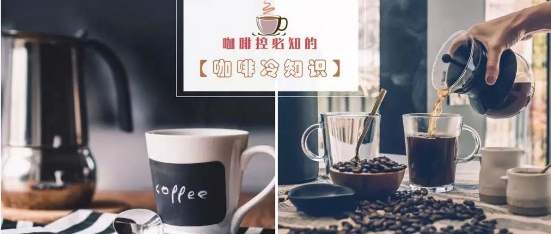 咖啡控必知的‘冷知識’ | 咖啡是羊吃出來的？全世界最貴的“屎”咖啡不是貓屎咖啡！