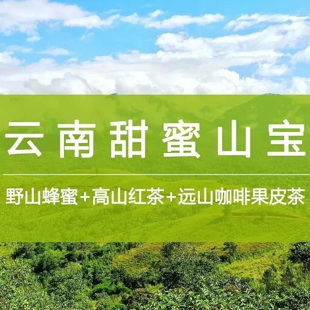 云南山寶組合 .折購，新產(chǎn)季咖啡果皮茶&蜂蜜&紅茶一點(diǎn)就到家~