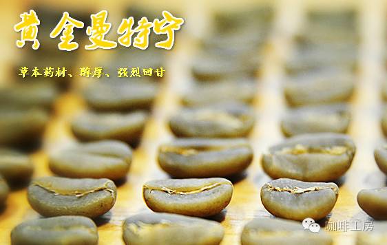 【咖啡常識】顛覆你對曼特寧的理解，曼特寧和黃金曼特寧的區(qū)別？