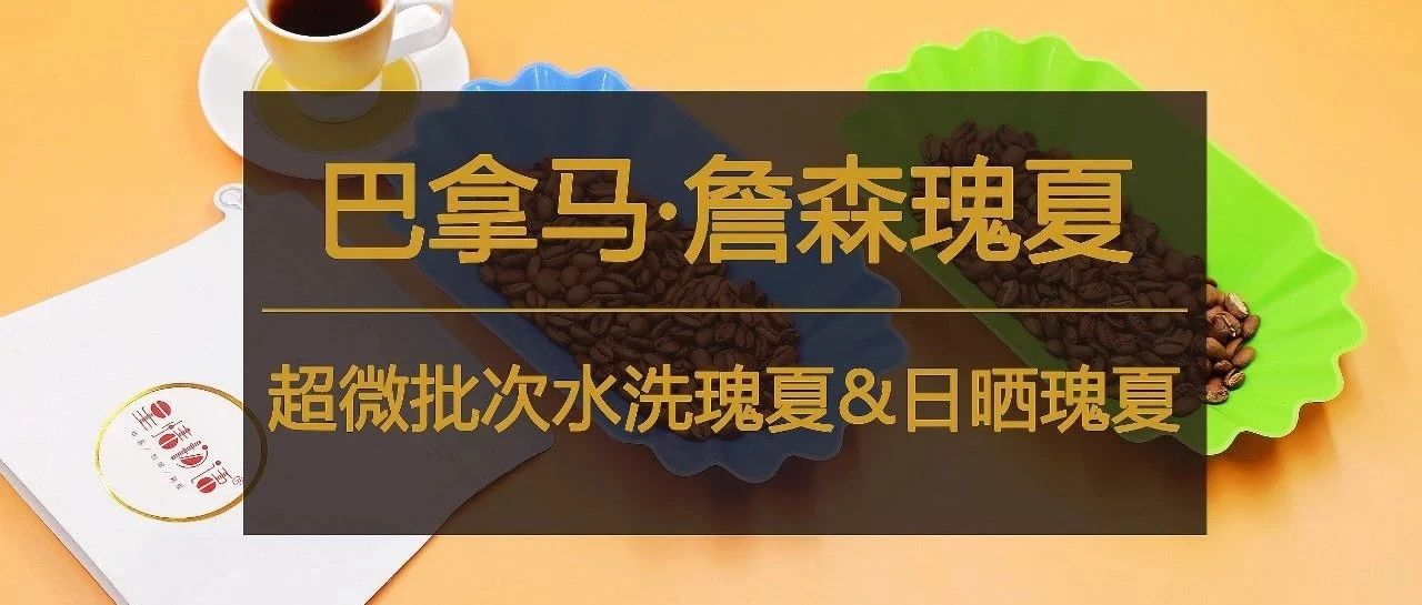 只極品瑰夏同時(shí)上線，咖啡控嘗鮮要趁早
