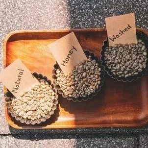 日曬/水洗/蜜處理/厭氧發(fā)酵……次搞懂咖啡處理法！