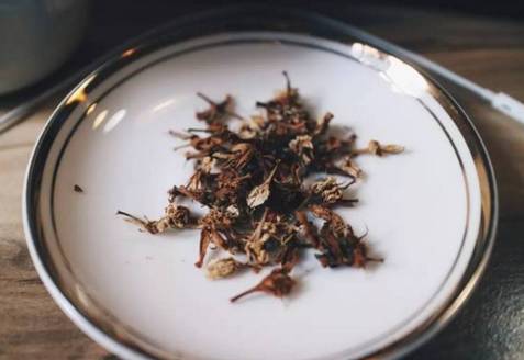 咖啡和茶你都喝得多了，可是咖啡花茶你喝過嗎？