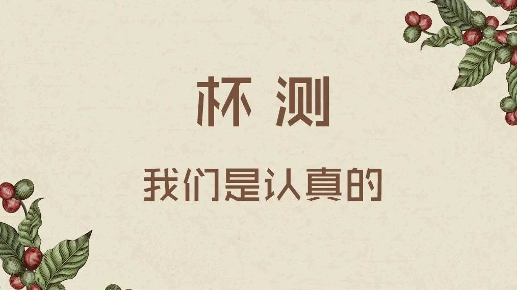 杯測，我們是認真的-GCEF大中華區(qū)咖啡產(chǎn)業(yè)精英論壇