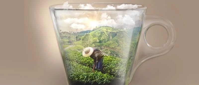 LAVAZZA ！Tierra！拉丁美洲系列新品咖啡豆