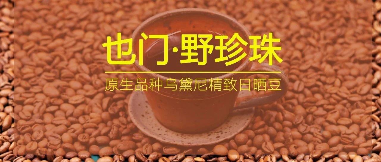 比瑰夏還難得的也門烏黛尼日曬豆，第包半價來帶走！