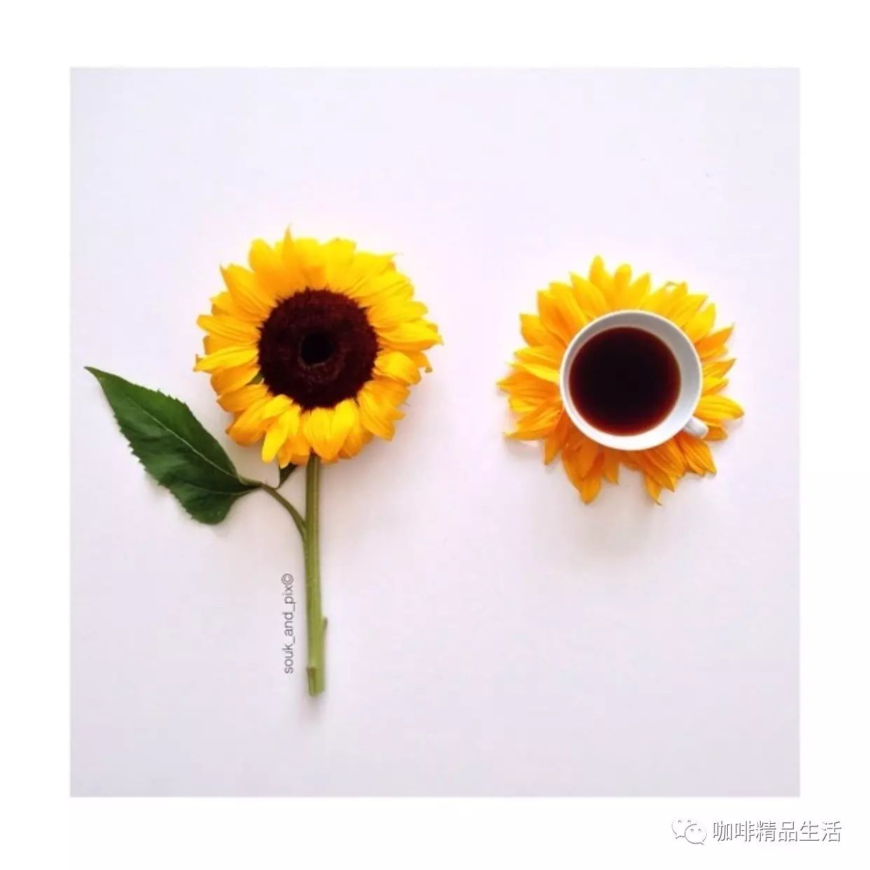 咖啡控的兒童節(jié)是醬紫過的→