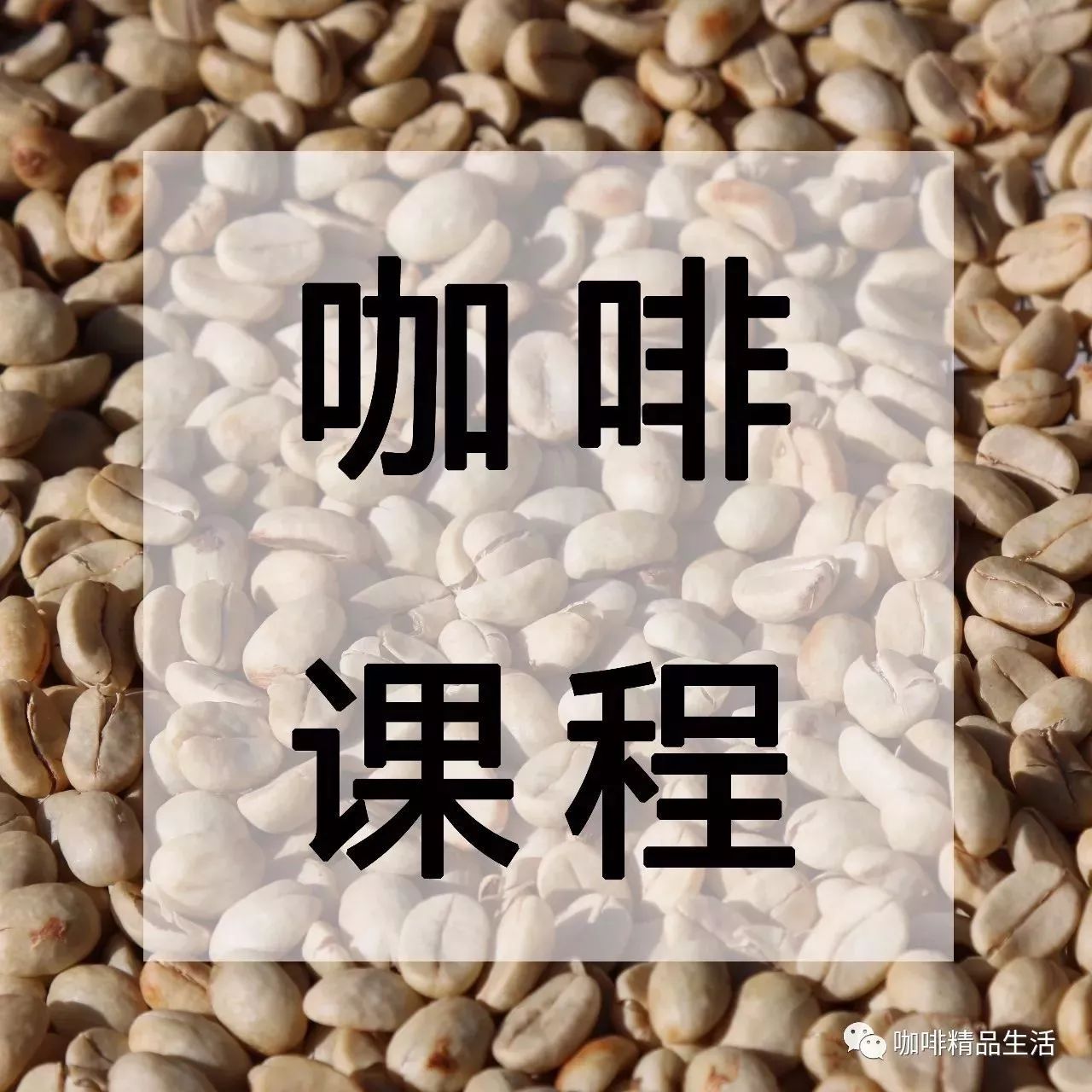 咖啡課堂 | 廈門全能咖啡師從這里走出