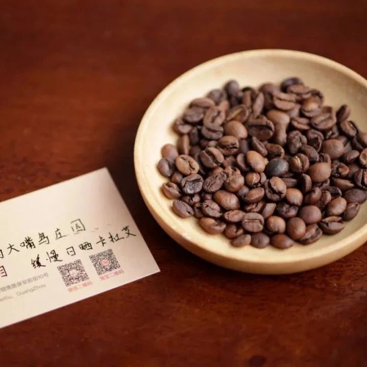前街咖啡尋豆記 | CCD項(xiàng)目——棕櫚樹與大嘴鳥莊園和巴拿馬的夢幻聯(lián)動