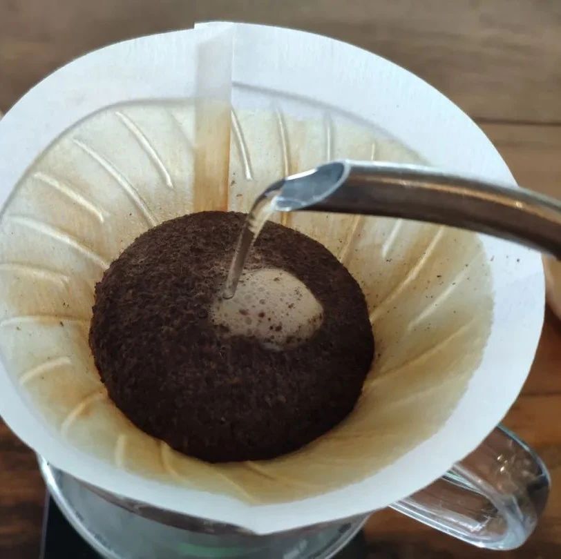 前街咖啡尋豆記 | 薩爾瓦多波西多莊園黑蜜處理帕卡瑪拉