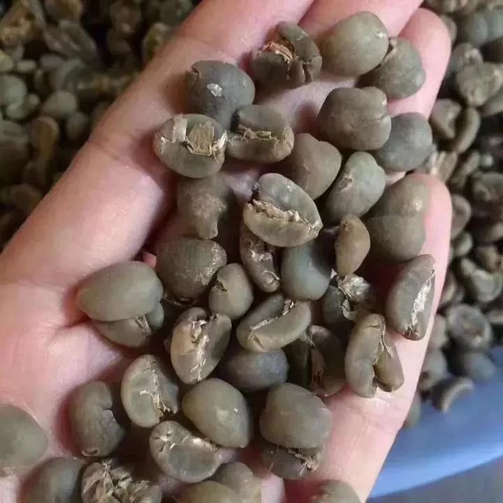 曼特寧就一定是苦的嗎？為什么我的曼特寧喝起來有些酸?