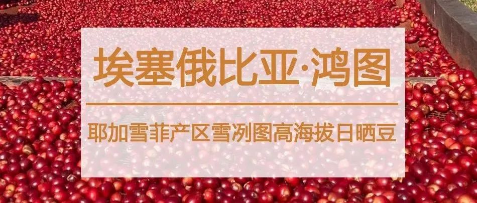 耶加雪菲專場福利>手沖咖啡控速度入手！
