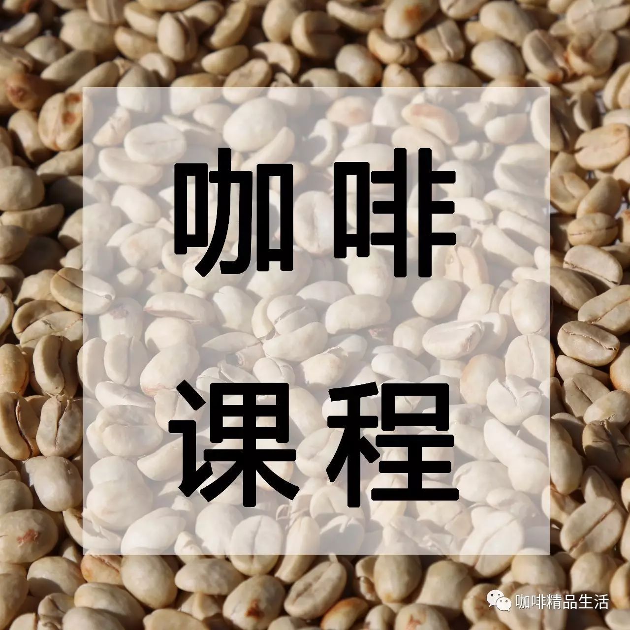 咖啡課堂 | 全能咖啡師如何提高自己技能？