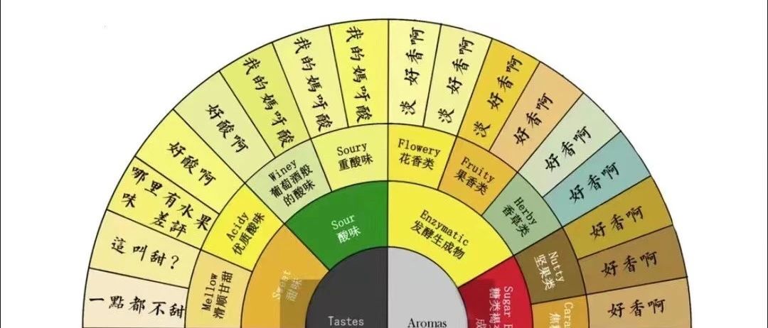 過于真實(shí)，消費(fèi)者版咖啡風(fēng)味輪