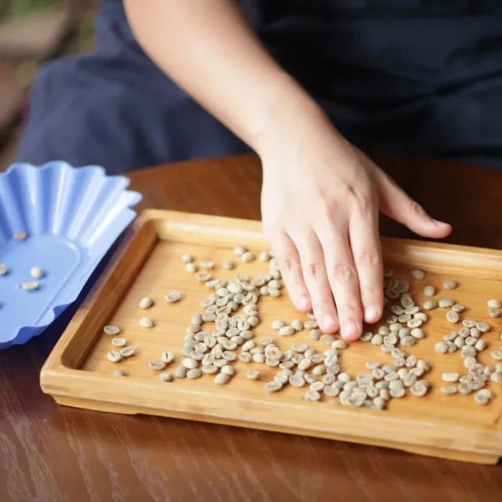 從零開始的咖啡烘焙 | 烘焙第一課：首先要了解自己的“食材”