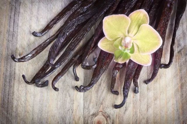 風(fēng)味 | 他們把聞香瓶里的Vanilla叫做“聞膩啦”