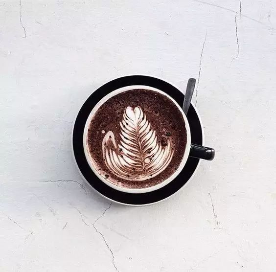 咖啡文化｜澳洲咖啡解碼器