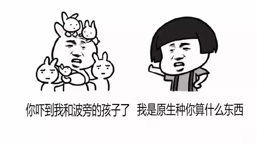 老司機(jī)在此，給你科普比人類還復(fù)雜的咖啡樹品種