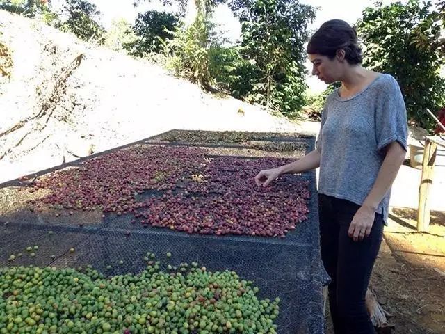 選手采訪 | Andrea Allen：咖啡比賽中的女性選手在哪？