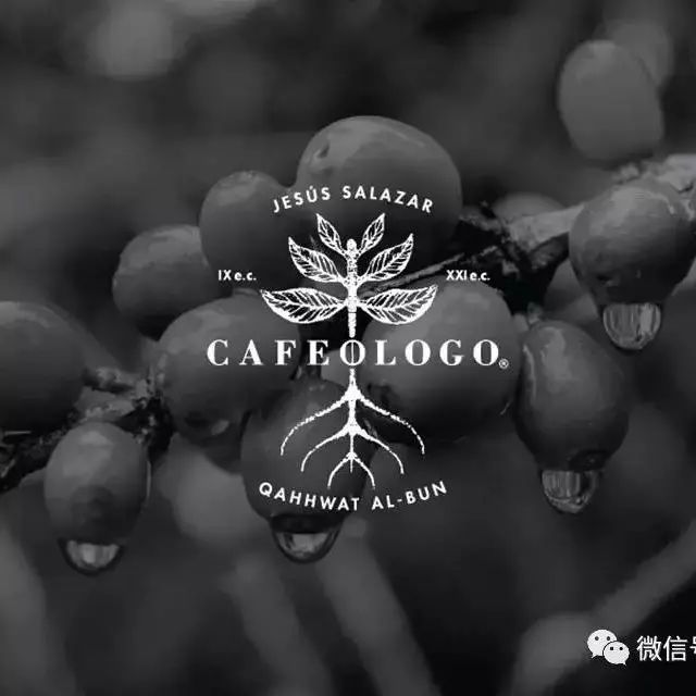 啡|空間 ? Cafeólogo墨西哥咖啡屋
